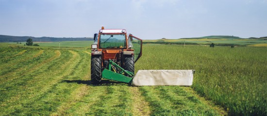 La résiliation de plein droit d’un bail rural environnemental - © Les Echos Publishing 2024