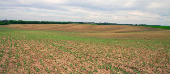 Le prix des terres agricoles et viticoles en 2023 - © Les Echos Publishing 2024