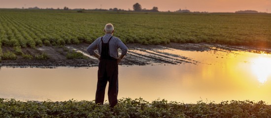 Des dégrèvements de taxe foncière pour les agriculteurs victimes d’une perte de récoltes - © Les Echos Publishing 2024