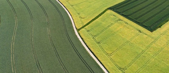 Échange de parcelles agricoles : les droits du locataire - © Les Echos Publishing 2024