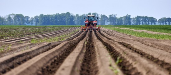 Mise à disposition d’une société de parcelles agricoles louées : il faut les exploiter ! - © Les Echos Publishing 2025