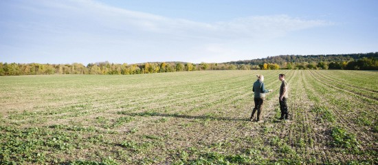 Préemption de la Safer sur une parcelle agricole : le droit du vendeur de se retirer - © Les Echos Publishing 2025